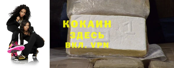 дживик Верхний Тагил