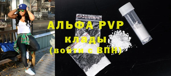 дживик Верхний Тагил